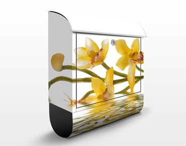 Brievenbussen Saffron Orchid Waters