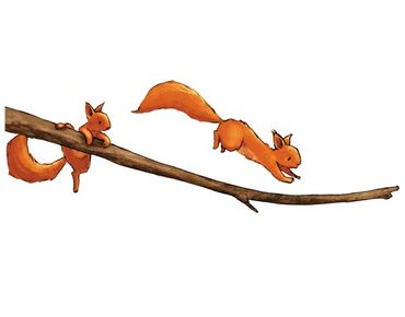 Raamstickers Squirrels On The Branch