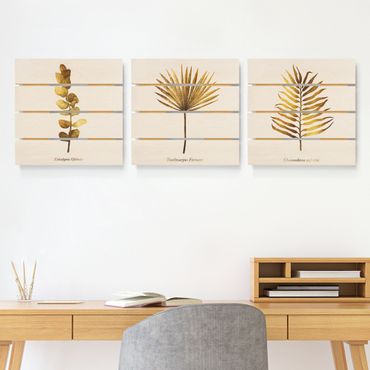 Houten schilderijen op plank - 3-delig Gold - Tropical Leaves Set I