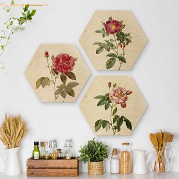 Hexagons houten schilderijen - 3-delig Pierre Joseph Redouté - Roses