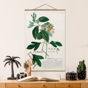 Stoffen schilderij met posterlijst Vintage Botanical Illustration Laurel