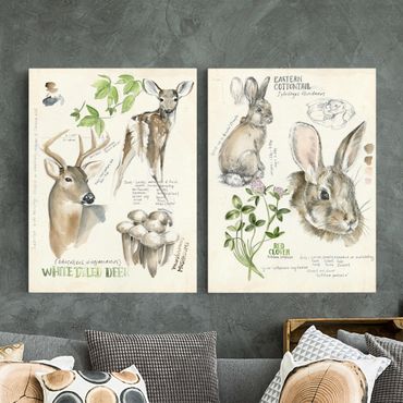 Canvas schilderijen - 2-delig  Wilderness Journal - Deer And Rabbits Set II