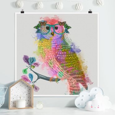 Posters Rainbow Splash Owl