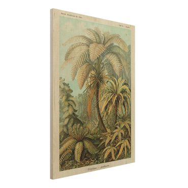 Houten schilderijen Botany Vintage Illustration Leaves Ferns