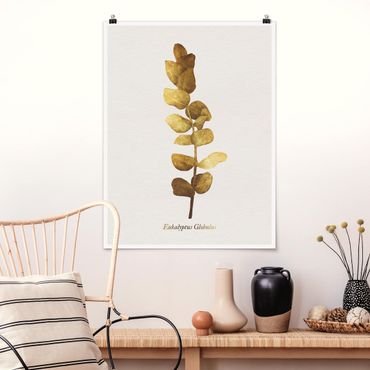Posters Gold - Eucalyptus