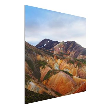 Aluminium Dibond schilderijen Colourful Mountains In Iceland