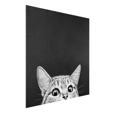 Forex schilderijen Illustration Cat Black And White Drawing