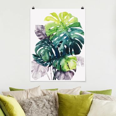Posters Exotic Foliage - Monstera