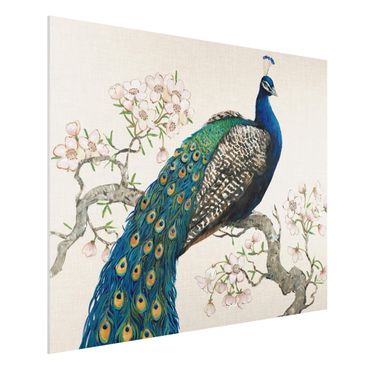 Forex schilderijen Vintage Peacock With Cherry Blossoms