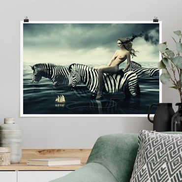 Posters Woman Posing With Zebras