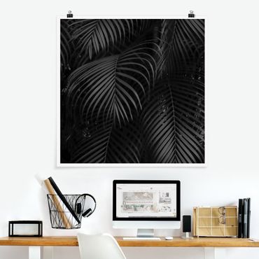 Posters Black Palm Fronds