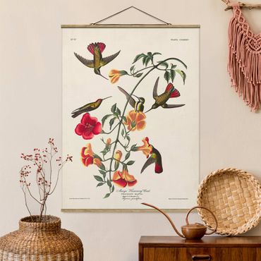 Stoffen schilderij met posterlijst Vintage Board Mango Hummingbirds