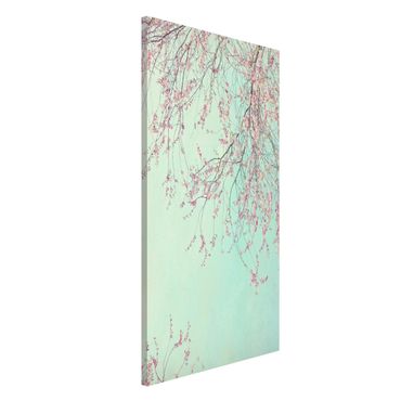 Magneetborden Cherry Blossom Yearning