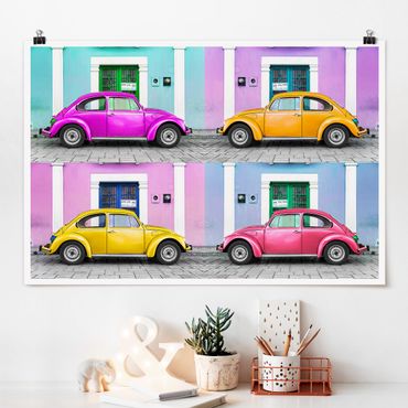 Posters Dyed Beetles