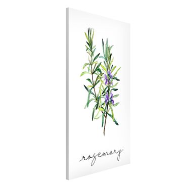 Magneetborden Herbs Illustration Rosemary