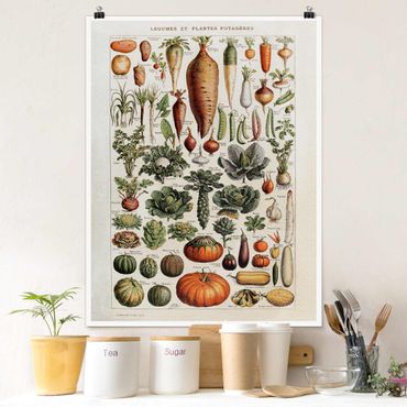 Posters Vintage Board Vegetables