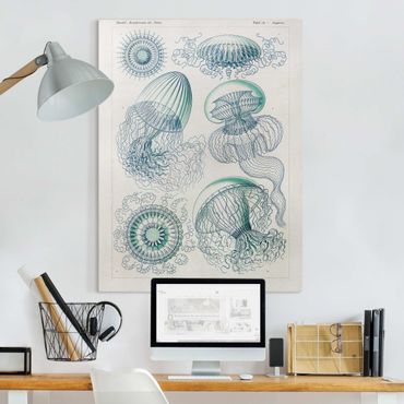 Canvas schilderijen Vintage Board Jellyfish In Blue