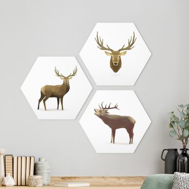 Hexagons Forex schilderijen - 3-delig Poligon Deer Collection
