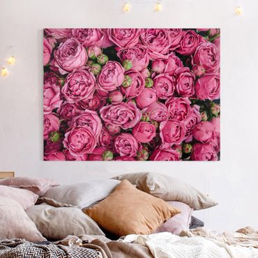 Canvas schilderijen Pink Peonies