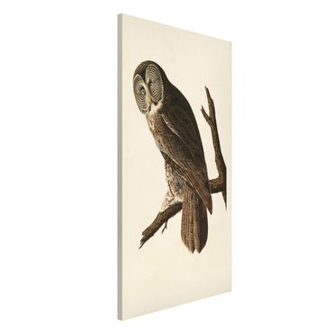 Magneetborden Vintage Board Great Owl