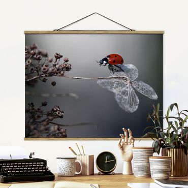Stoffen schilderij met posterlijst Ladybird On Hydrangea