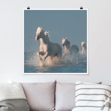 Posters Herd Of White Horses