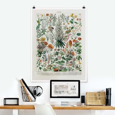 Posters Vintage Board Flowers I