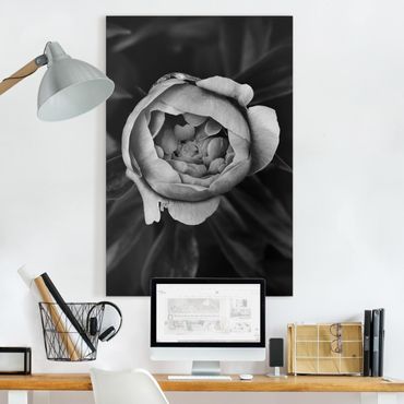 Canvas schilderijen Peonies In Front Of Leaves Black And White