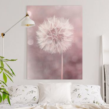 Canvas schilderijen Dandelion Bokeh Light Pink