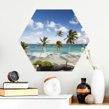 Hexagons Aluminium Dibond schilderijen Beach Of Barbados