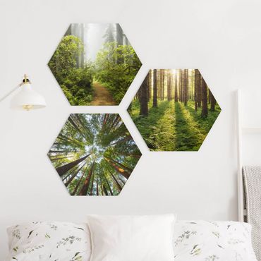 Hexagons Aluminium Dibond schilderijen - 3-delig Forest Trio