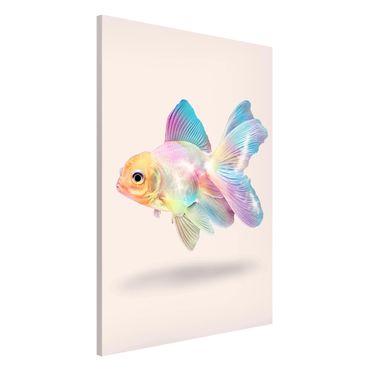 Magneetborden Fish In Pastel