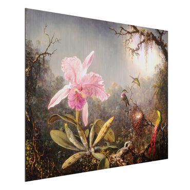 Aluminium Dibond schilderijen Martin Johnson Heade - Orchid And Three Hummingbirds