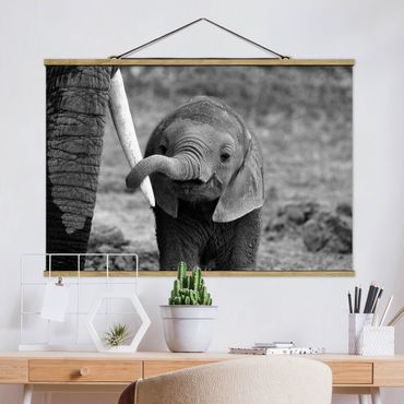 Stoffen schilderij met posterlijst Baby Elephant