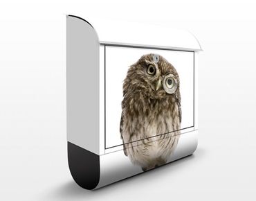 Brievenbussen Curious Owl