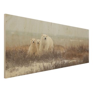 Houten schilderijen Polar Bear And Her Cubs