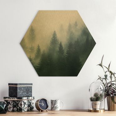 Hexagons Aluminium Dibond schilderijen Coniferous Forest In Fog