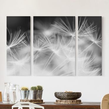 Canvas schilderijen - 3-delig Moving Dandelions Close Up On Black Background
