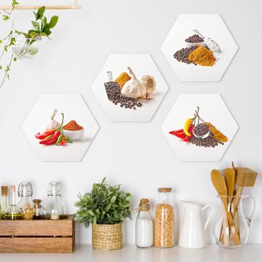 Hexagons Forex schilderijen - 4-delig Chili garlic and spices - Sets