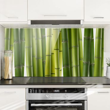 Spatscherm keuken Bamboo Plants