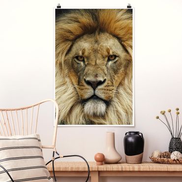 Posters Wisdom Of Lion