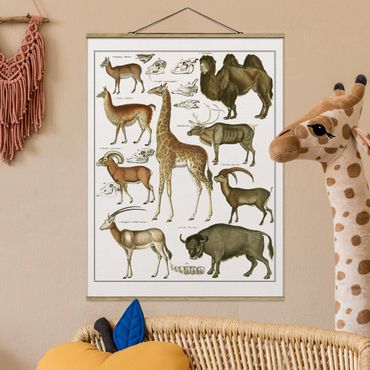 Stoffen schilderij met posterlijst Vintage Board Giraffe, Camel And IIama