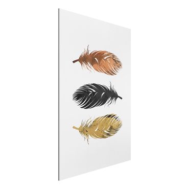 Aluminium Dibond schilderijen Feathers