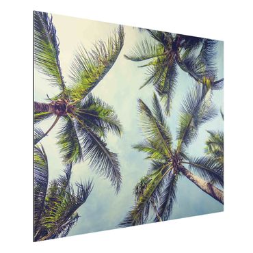 Aluminium Dibond schilderijen The Palm Trees