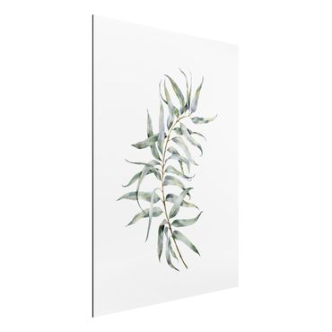 Aluminium Dibond schilderijen Waterclolour Eucalyptus lV