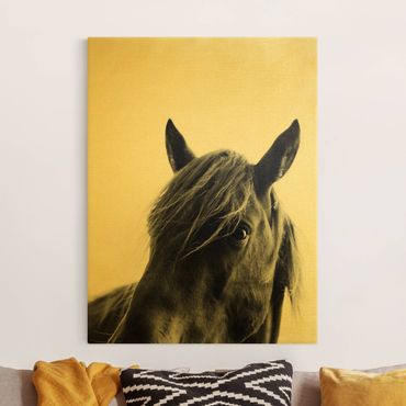 Canvas schilderijen - Goud Curious Horse