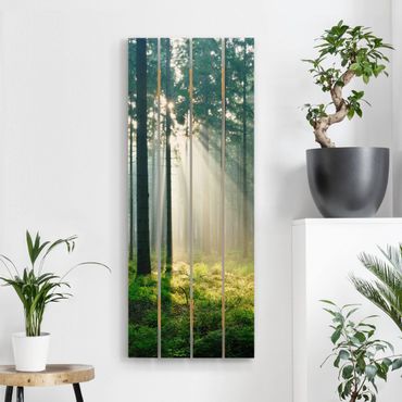 Houten schilderijen op plank Enlightened Forest