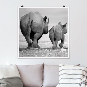 Posters Wandering Rhinos II