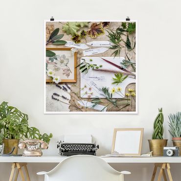 Posters Flowers And Garden Herbs Vintage