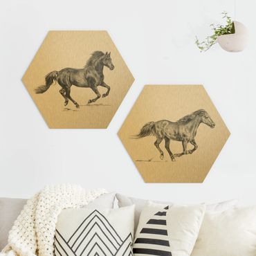 Hexagons Aluminium Dibond schilderijen - 2-delig Wild Horse Study Set I
